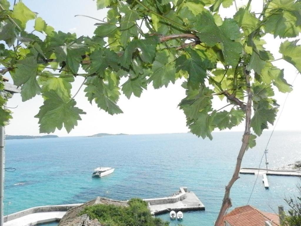 Villa Soti Mlini Bagian luar foto
