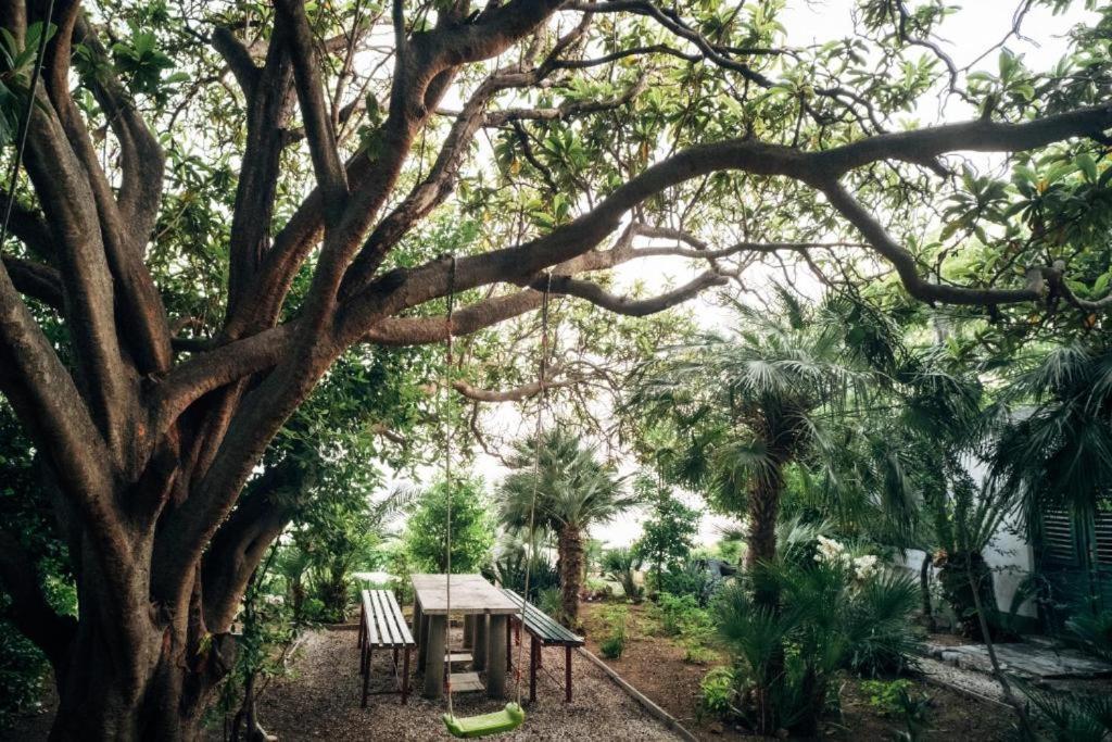 Villa Soti Mlini Bagian luar foto