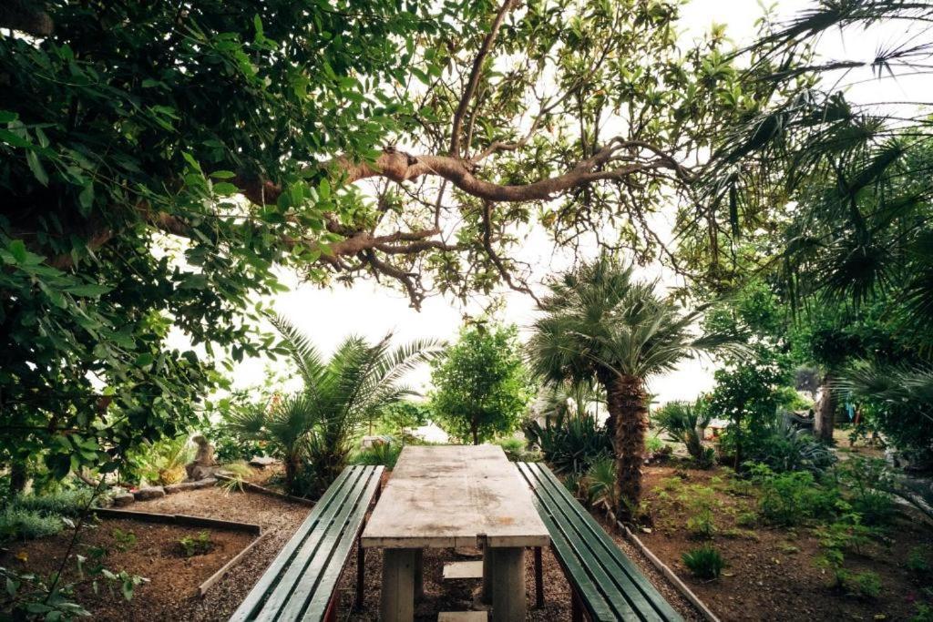 Villa Soti Mlini Bagian luar foto
